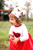 fashion kids